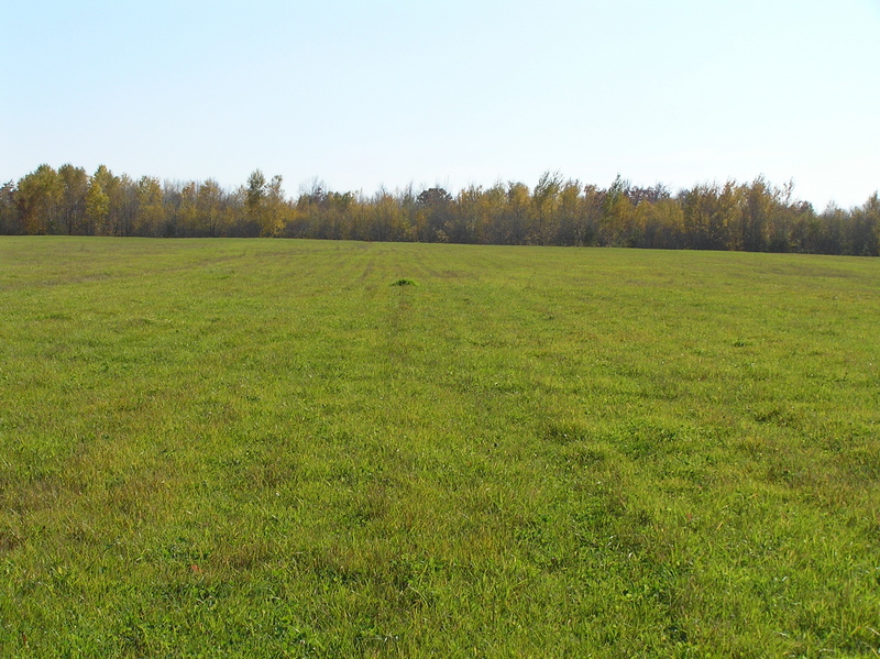 View to the south from the confluence.