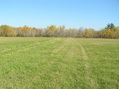 #7: View to the east from the confluence.