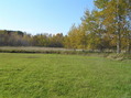 #9: View to the west from the confluence.