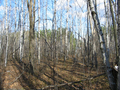 #3: East