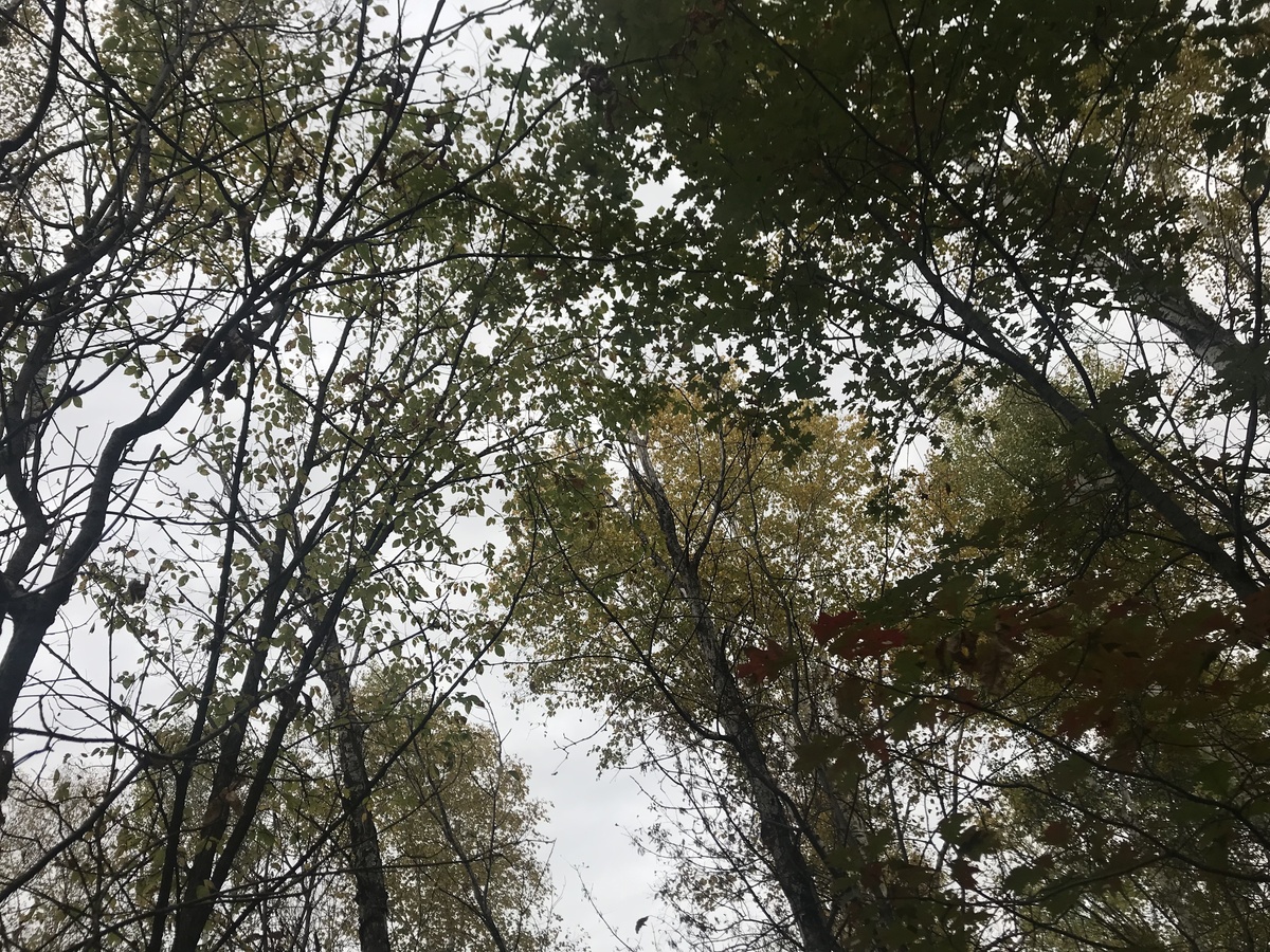 Sky view from the confluence. 