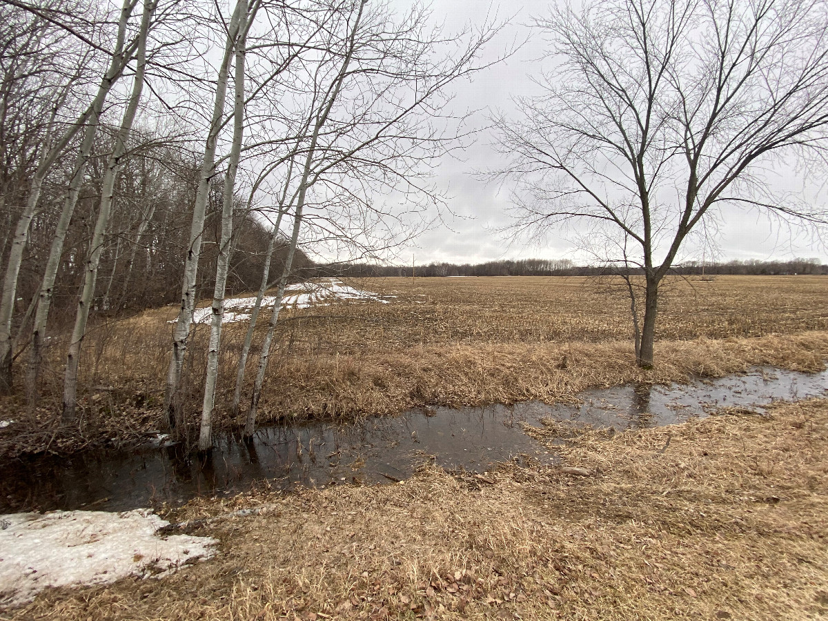 View to the southwest from road north of the point, to avoid taking any photos of the landowners' structures. 