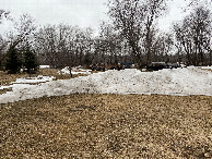 #3: View to the east from the confluence point.