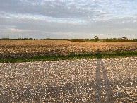 #11: Long shadow view to the east from the nearest road to the confluence point.