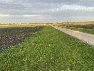 #3: The view to the east from the confluence point. 