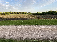 #4: The view to the south from the confluence point. 