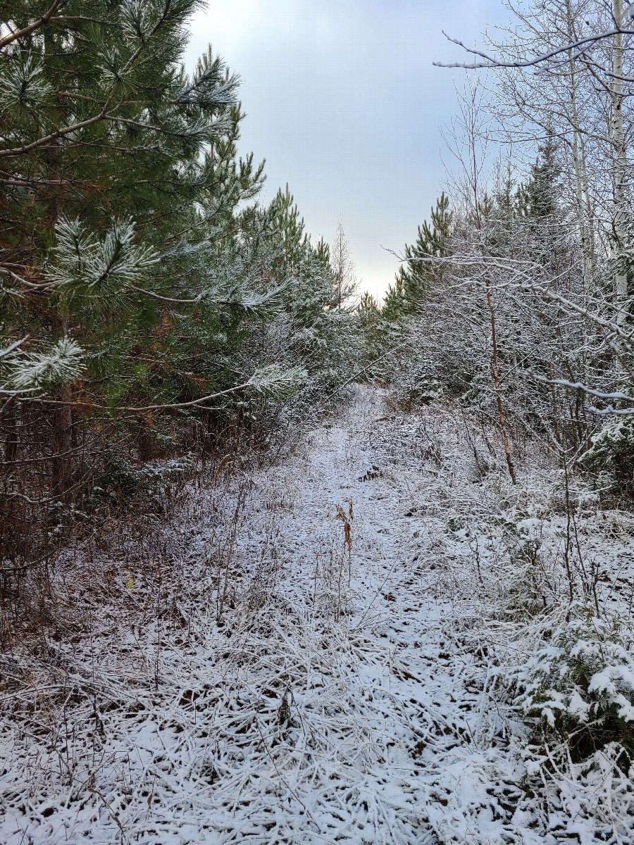 A relatively nice section of trail