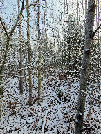 #2: South