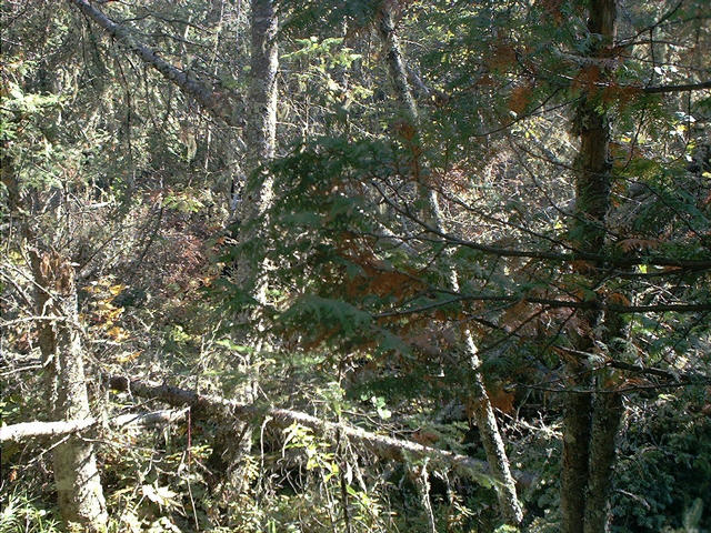 South from the confluence