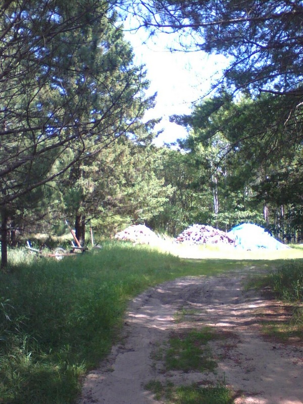 Looking east. The firewood piles