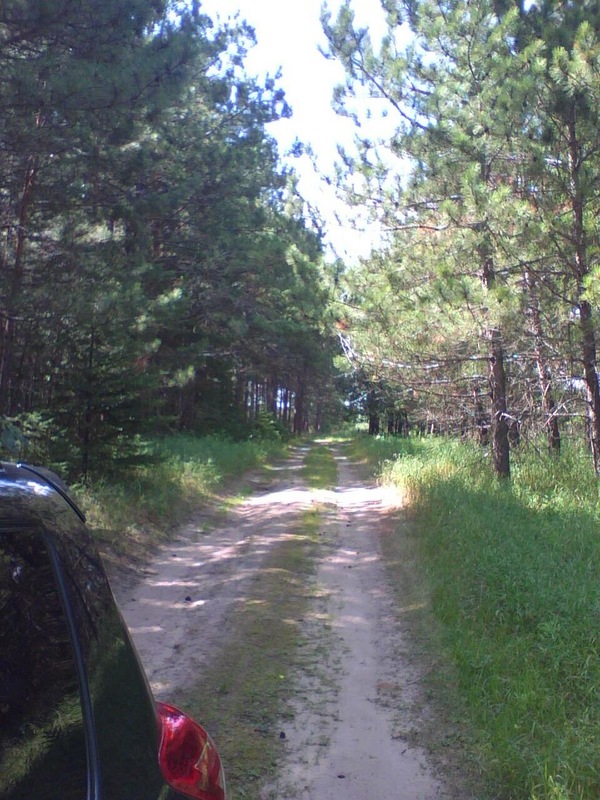 Looking west along the track,