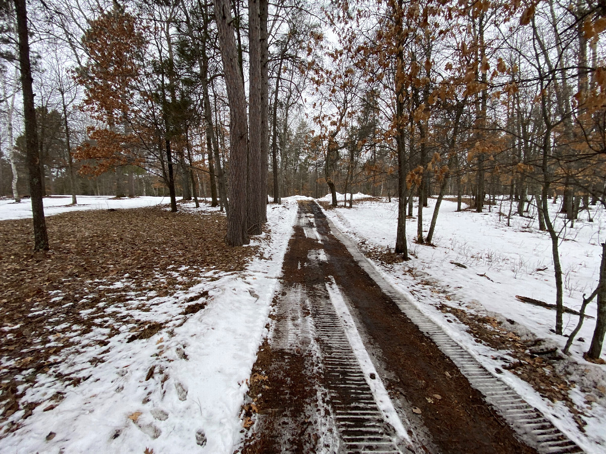 Four wheel drive trail near the confluence point.