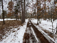 #10: Four wheel drive trail near the confluence point.