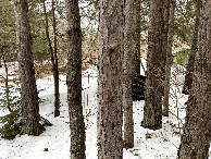 #3: View to the east from the confluence point.