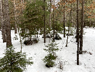 #5: View to the west from the confluence point.