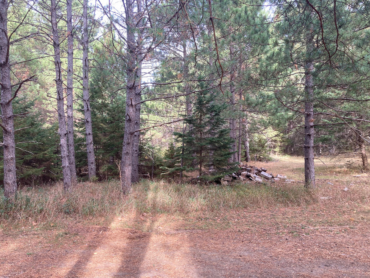 Looking north from the confluence, onto the path