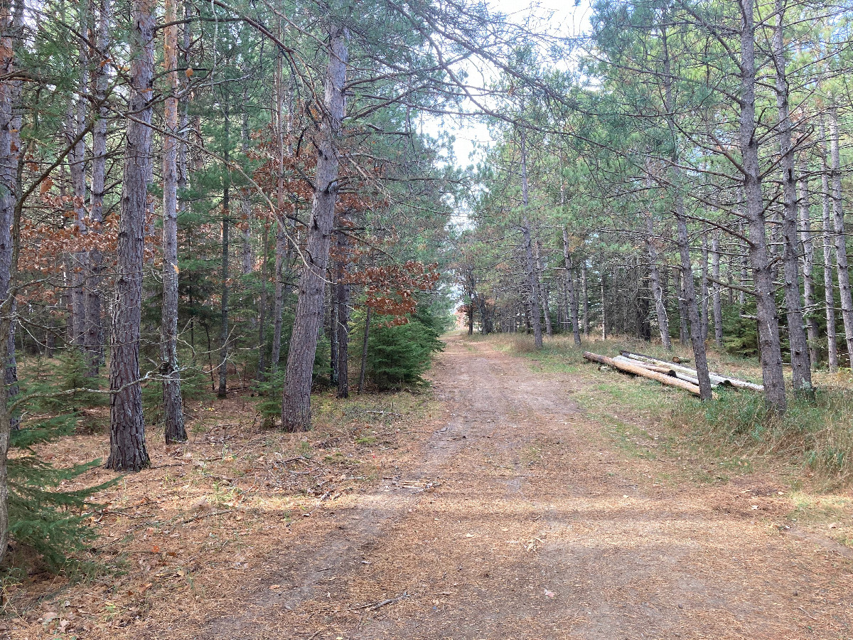 Looking west down the track, a few meters north of 47°N