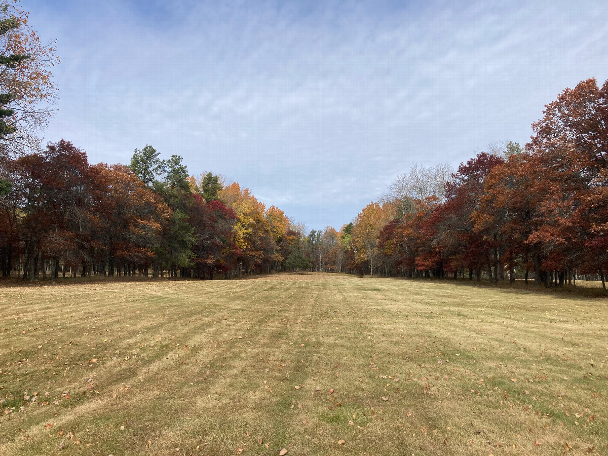 Pretty fall foliage on the disc golf course, 250 meters southeast of 47N 95W