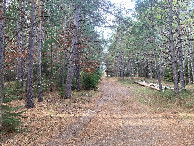#7: Looking west down the track, a few meters north of 47°N