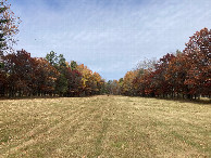 #8: Pretty fall foliage on the disc golf course, 250 meters southeast of 47N 95W