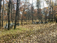 #9: Bench herd encounter, 80 meters southeast of 47N 95W