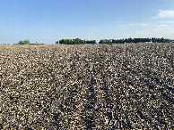 #2: The view to the north from the confluence point.