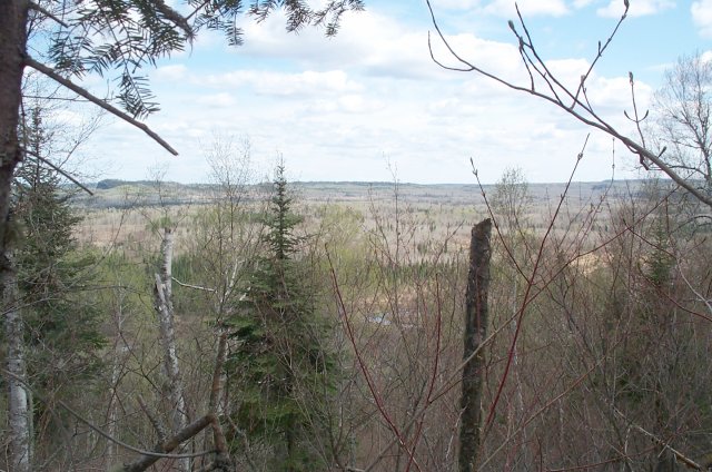 Looking towards the Canadian border