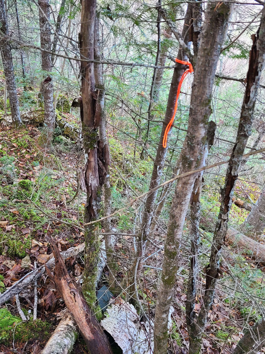 Geocache site just west of the confluence