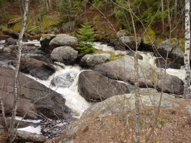 Pretty rapids on way in to Little Saganaga lake