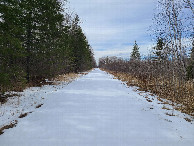 #6: Smith State Forest Road, access point to confluence