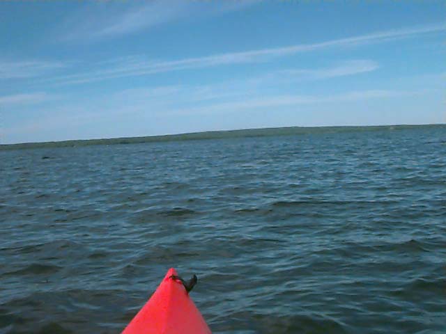 Looking west from the confluence.