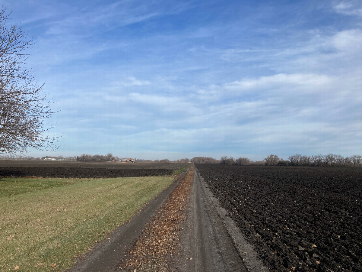 Looking north on the farm path, about 600 meters south of 48N 97W