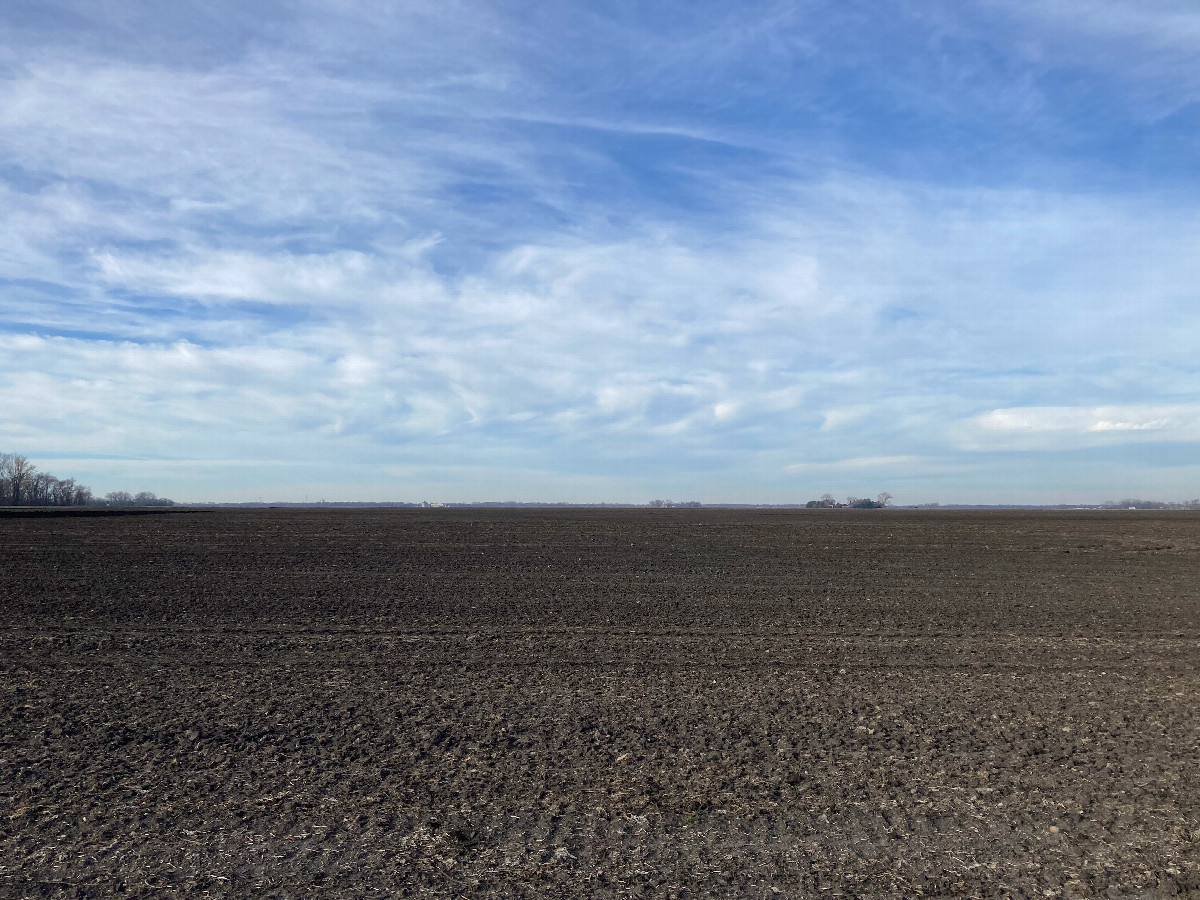 A typical view for the region, looking west on the path