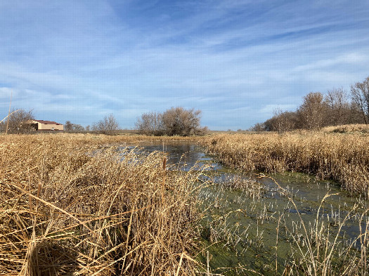 #1: Looking north at 48N 97W from my closest approach, located about 20 meters away