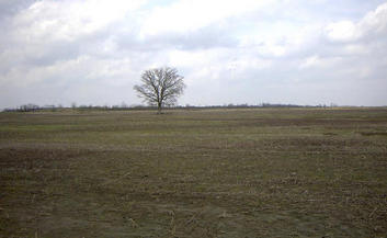 #1: Scene from the confluence facing NE