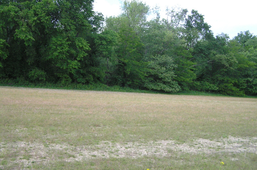 View to the north from the confluence.