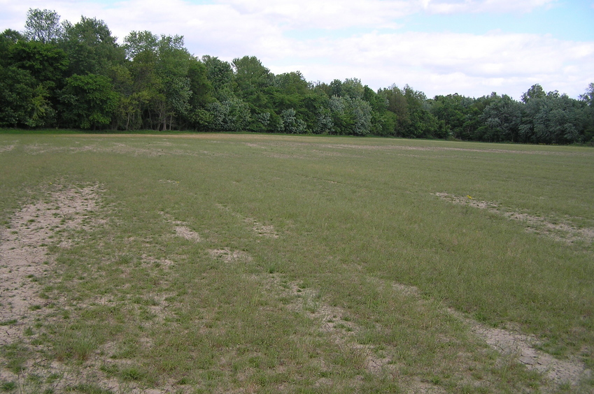 View to the east from the confluence.