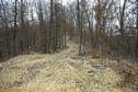 #5: Buggy trail leading from fence to near the confluence