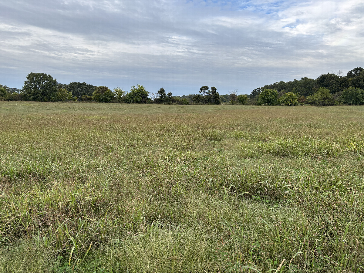 A view to the north from the confluence point 