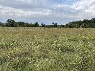 #2: A view to the north from the confluence point 