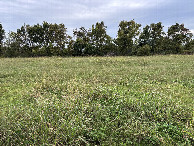 #4: A view to the south from the confluence point.