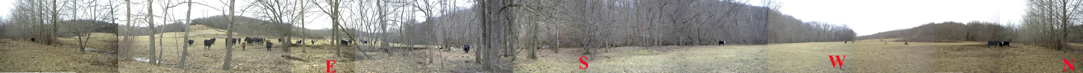 Panoramic shot taken at the confluence