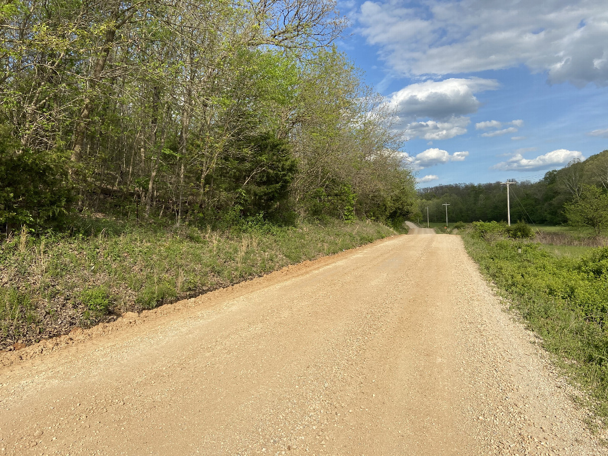 View to the east from the confluence point. 