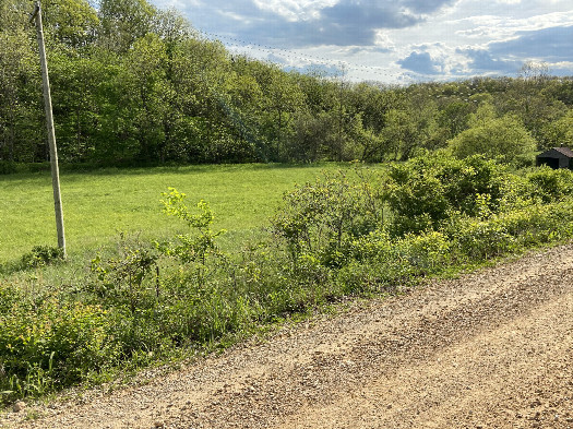 #1: The site of 38 North 93 West, in the foreground, looking southwest.