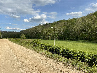 #10: Looking southeast from the confluence point. 