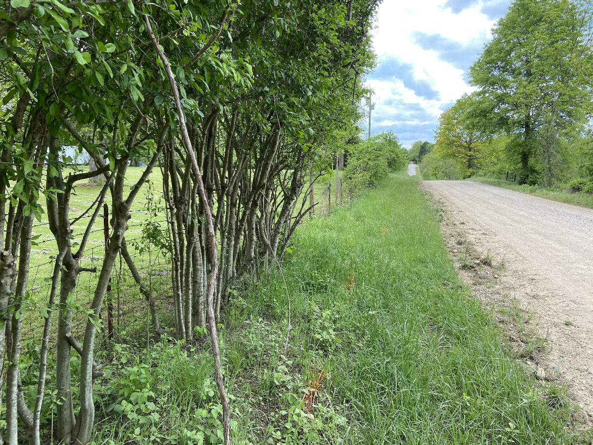 The site of 38 North 94 West, in the foreground, looking west-southwest.