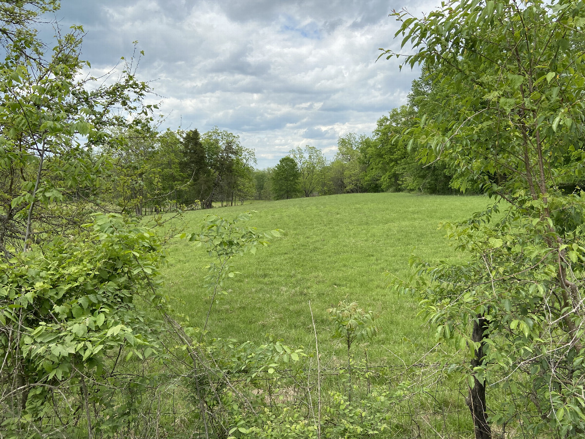 A better view to the north, from across the road. 