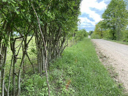 #1: The site of 38 North 94 West, in the foreground, looking west-southwest.