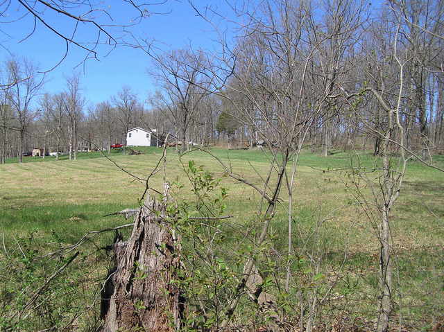 View to the north from the confluence showing the nearest house.