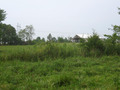 #4: View to the south, outbuilding where we parked in the distance.